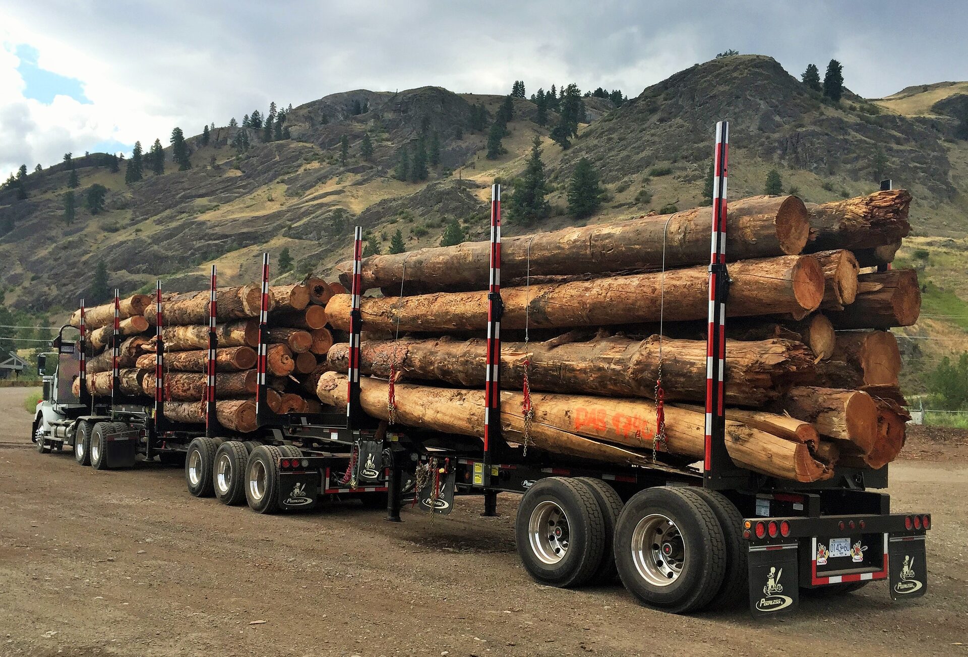 Super B-Train Shortwood — Heavy Spec — Peerless Trailers